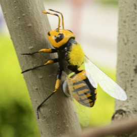 Figurine d'insecet en argile pour le jardin