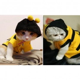 Costume da Ape per Gatto | Felpa Carina con Cappuccio