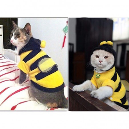 Costume da Ape per Gatto | Felpa Carina con Cappuccio