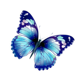 Sticker Papillon Bleu en PVC - 16cm x 15.2cm Bleu