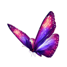 Sticker Papillon Grand Papillon Fluorescent - 13cm x 11 cm Violet