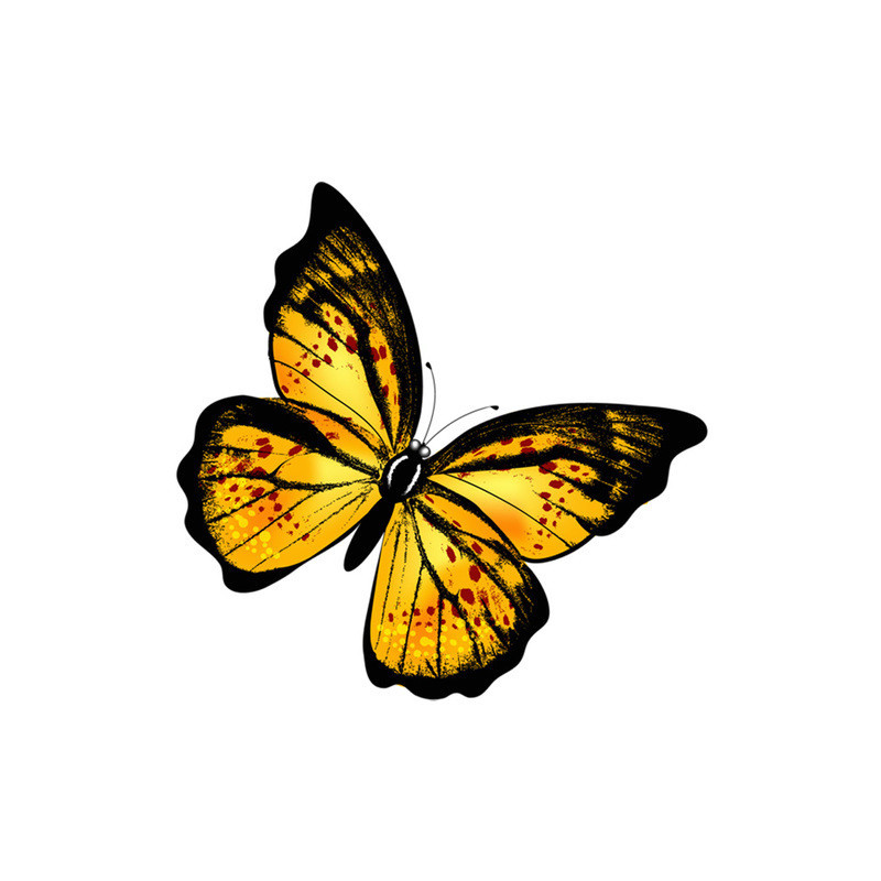 Sticker Papillon Grand Papillon Jaune - 14cm x 14cm