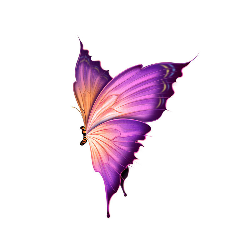 Sticker Papillon Violet Ailes de Papillon Bicolores PVC - 16cm x 11cm Violet
