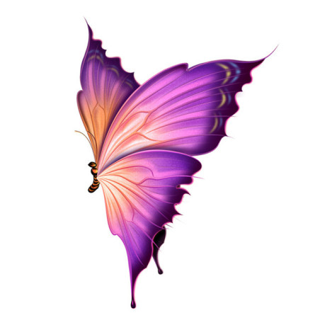 Sticker Papillon Violet Ailes de Papillon Bicolores PVC - 16cm x 11cm Violet