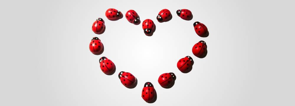 Collana coccinella, ciondoli portafortuna e gioiello di fortuna