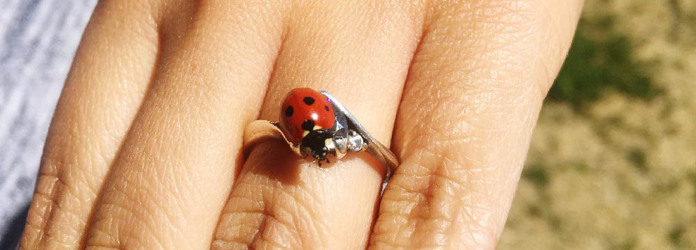 Anello coccinella, fascia portafortuna e idea regalo di fortuna