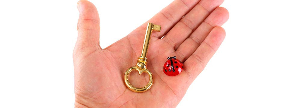 Portachiavi coccinella, accessorio portafortuna e piccolo regalo