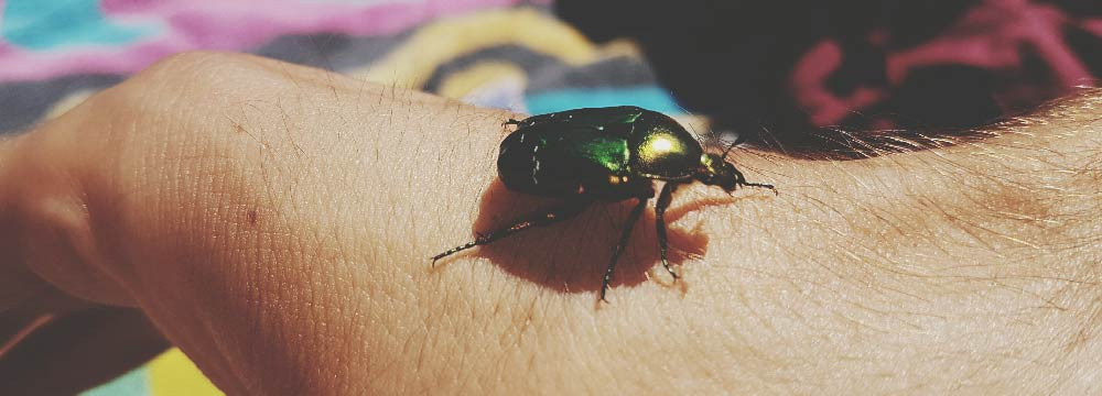 Anello scarabeo, fascia egizia e gioiello di protezione