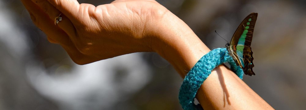 Bracciale farfalla, gioiello natura al polso e idea regalo