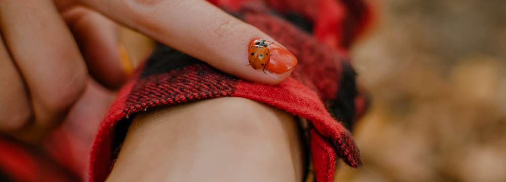 Bracciale coccinella, gioiello portafortuna al polso e regalo