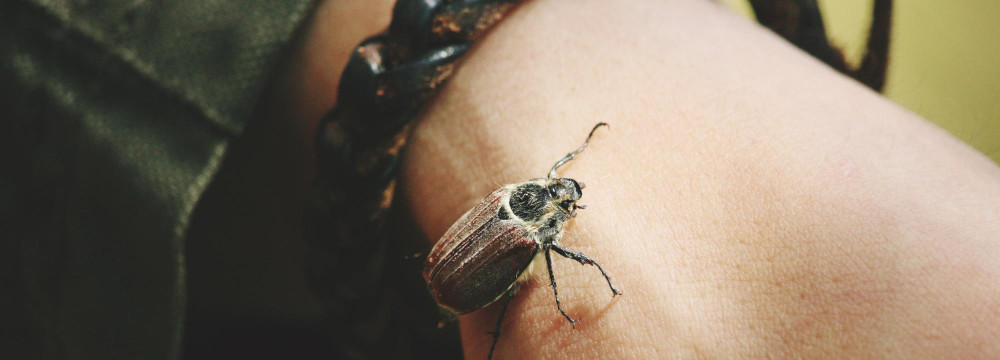 Bracciale scarabeo, gioiello egizio al polso e di protezione