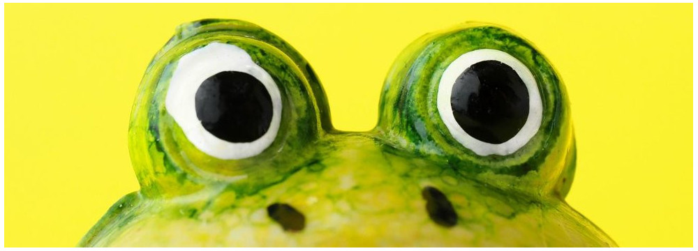 Mascotte rana, peluche natura e regalo portafortuna