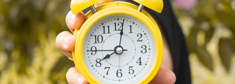 Orologio ape, orologio da parete deco natura