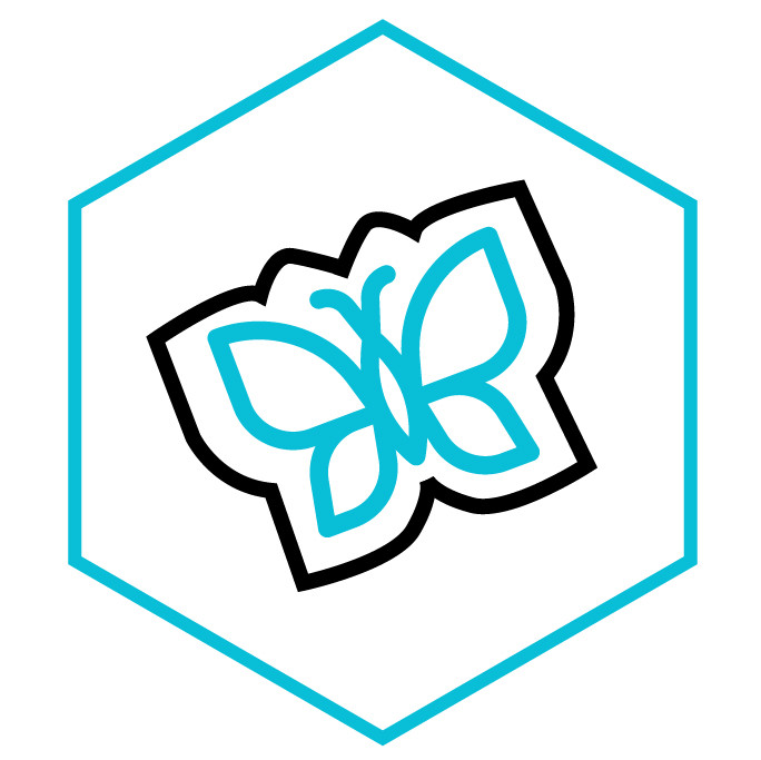 Icona della categoria Sticker Adesivo Farfalla