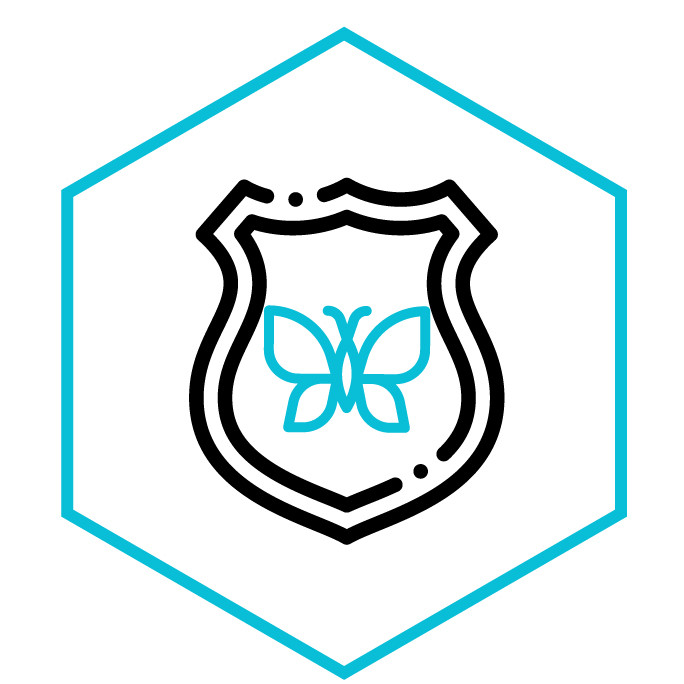 Icona della categoria Toppe & patch Farfalle