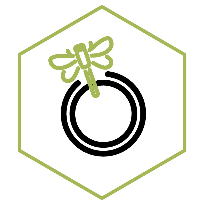 Icona della categoria Anelli Libellula