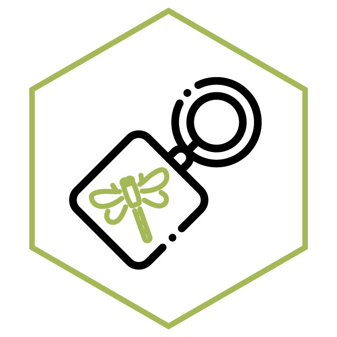 Icona della categoria Portachiavi Libellula