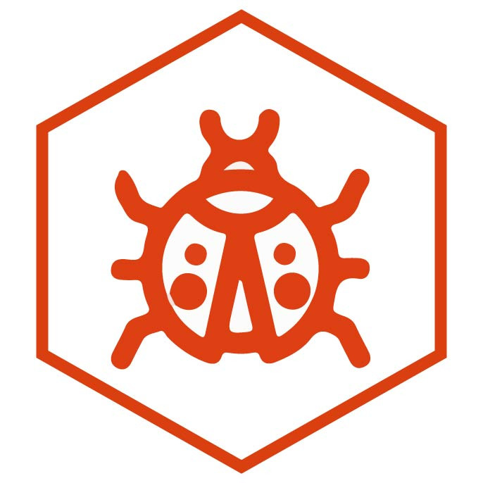 Icona della categoria Coccinelle