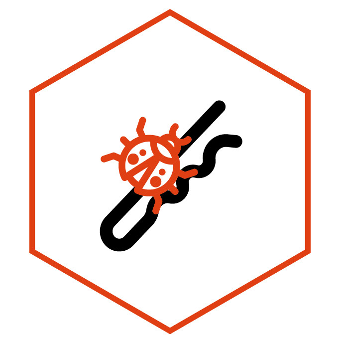 Icona della categoria Spille Coccinella