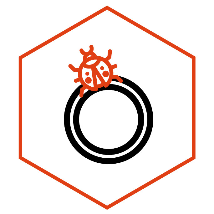 Icona della categoria Anelli Coccinella