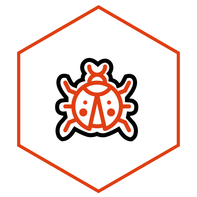 Icona della categoria Adesivi Coccinella