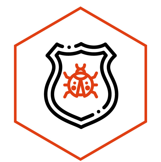 Icona della categoria Toppe & stemmi Coccinella