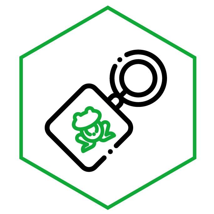 Icona della categoria Portachiavi Rana