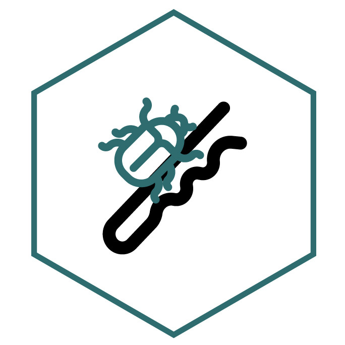 Icona della categoria Spille Scarabeo