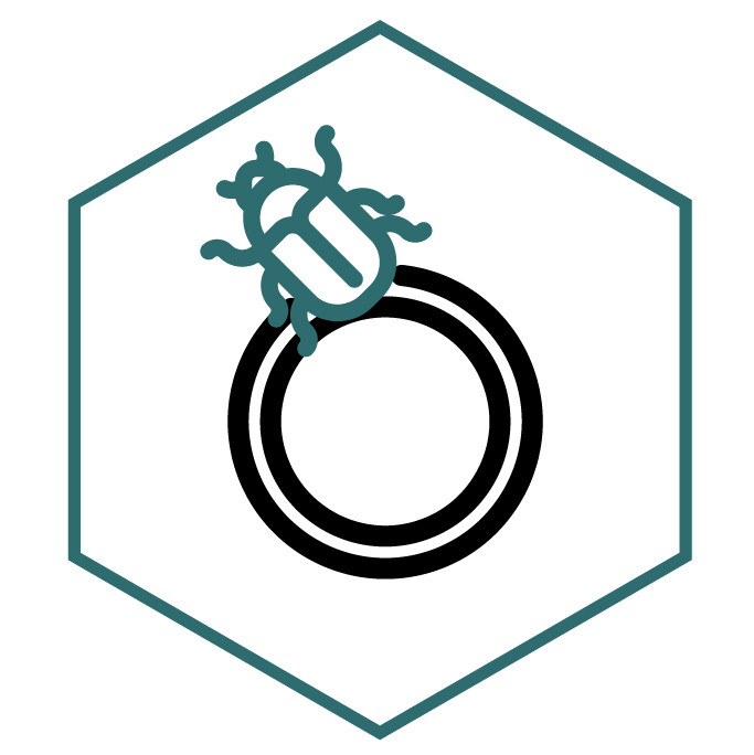 Icona della categoria Anelli Scarabeo