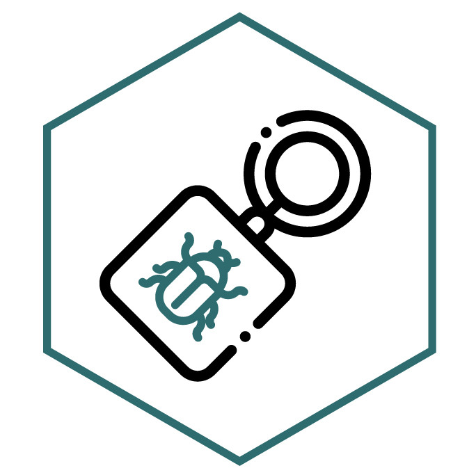 Icona della categoria Portachiavi Scarabeo