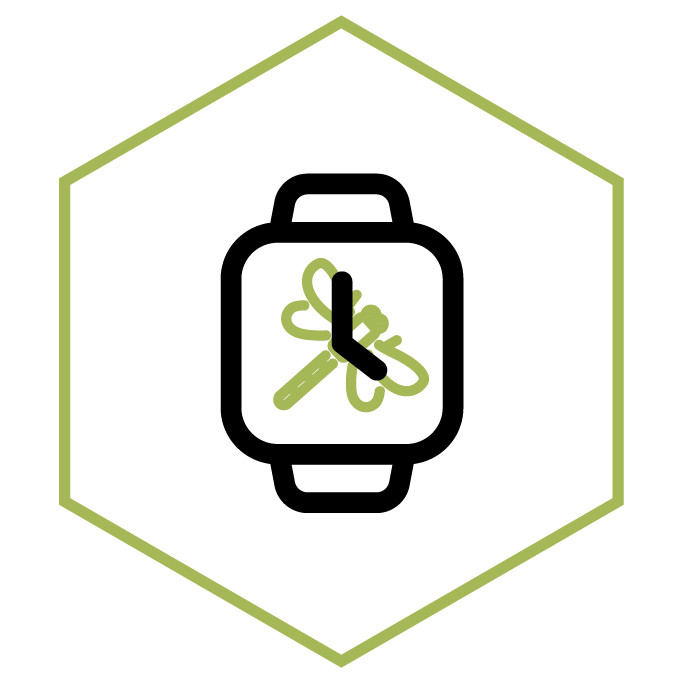 Icona della categoria Orologio Libellula