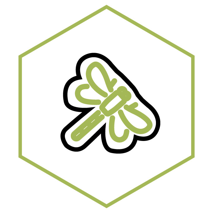 Icona della categoria Adesivi Libellula