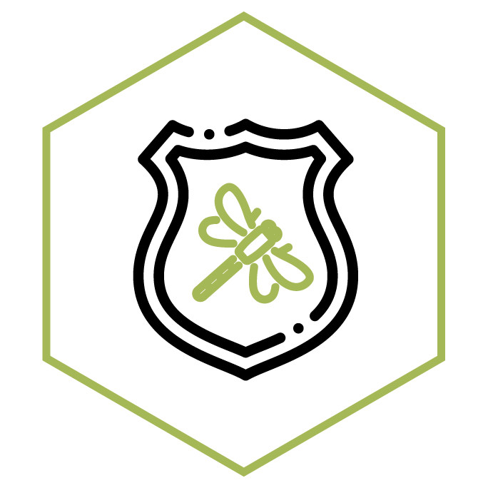 Icona della categoria Toppe & patch Libellula
