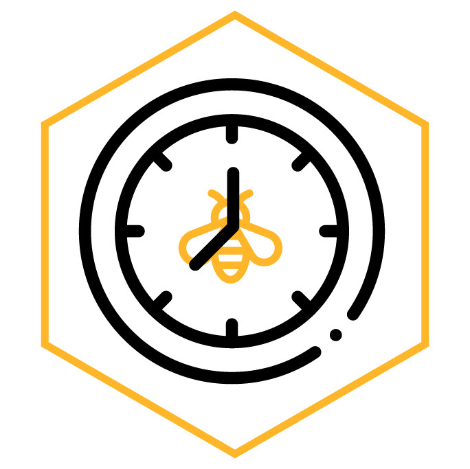 Icona della categoria Orologio ape