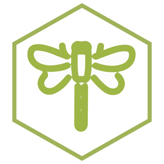 Icona della categoria Libellule