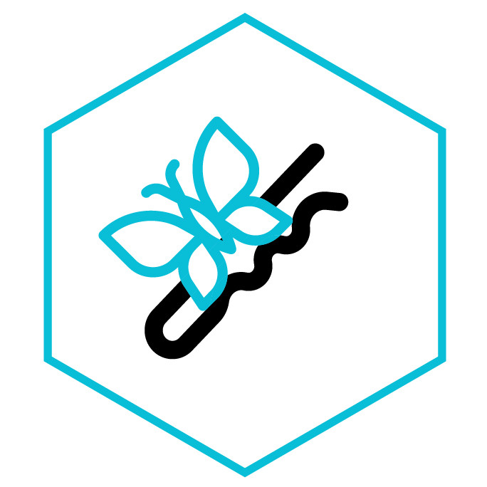 Icona della categoria Spille Farfalle
