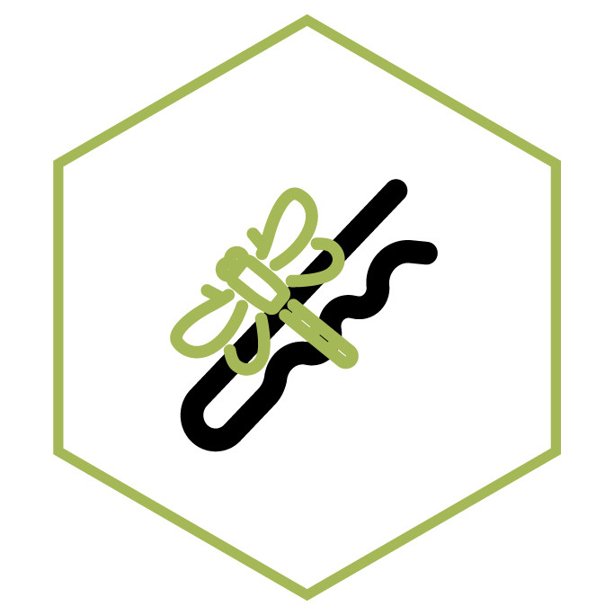 Icona della categoria Spilla Libellula