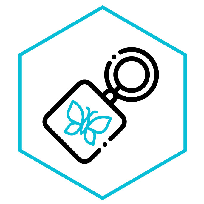 Icona della categoria Portachiavi Farfalle