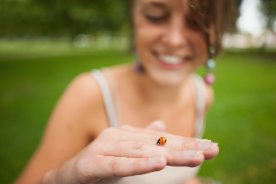 La coccinella alleata del giardino e della biodiversita