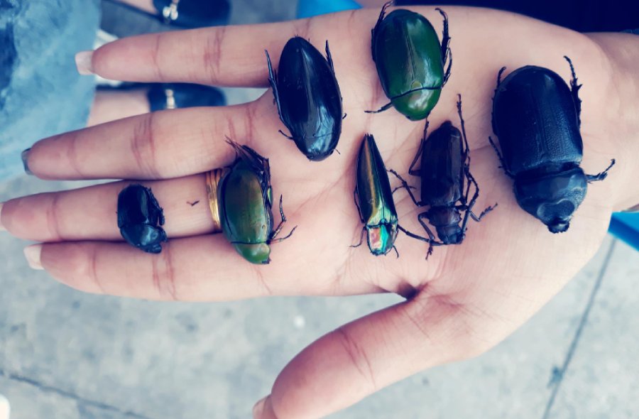 Gioielli e accessori ispirati allo scarabeo e alla natura