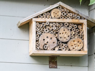 Cos'è un Hotel per Insetti o una Casa degli Insetti?